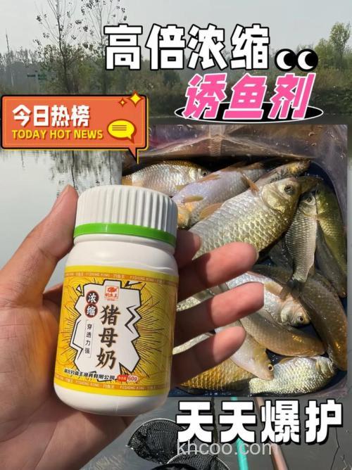 什么季节用奶味香精钓鱼？