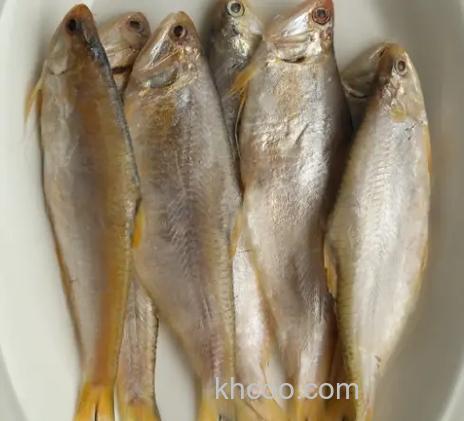 丸九鱼食黄鲫，力作元双，采。四季，雾化麦，粒战，彩鲫，不知怎么配