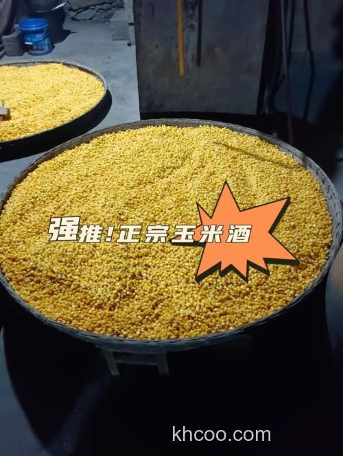 玉米发酵用酒曲好还是甜酒曲好？