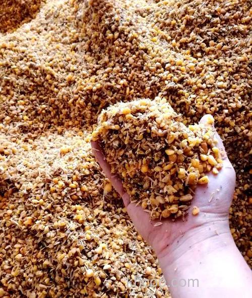 玉米壳怎样发酵？