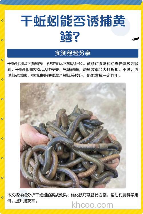 用什么代替蚯蚓来扑捉黄鳝?