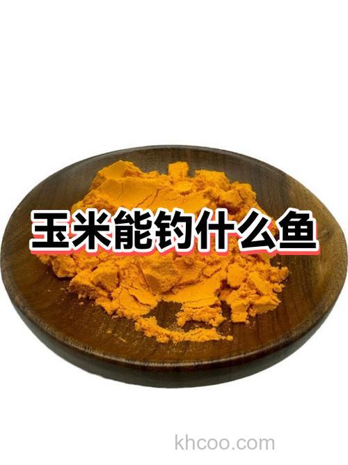 玉米能钓什么鱼