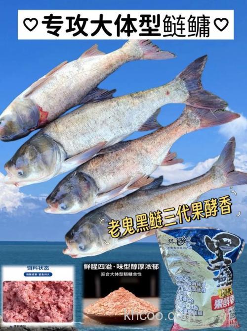 老鬼黑鲢开饵方法？