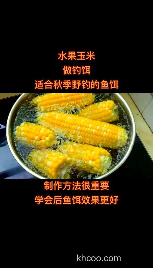秋季怎么用玉米做饵料