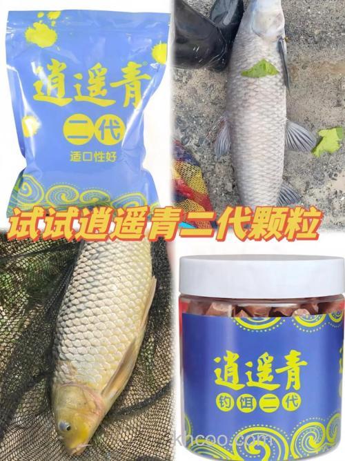 逍遥青颗粒可以钓草鱼吗？