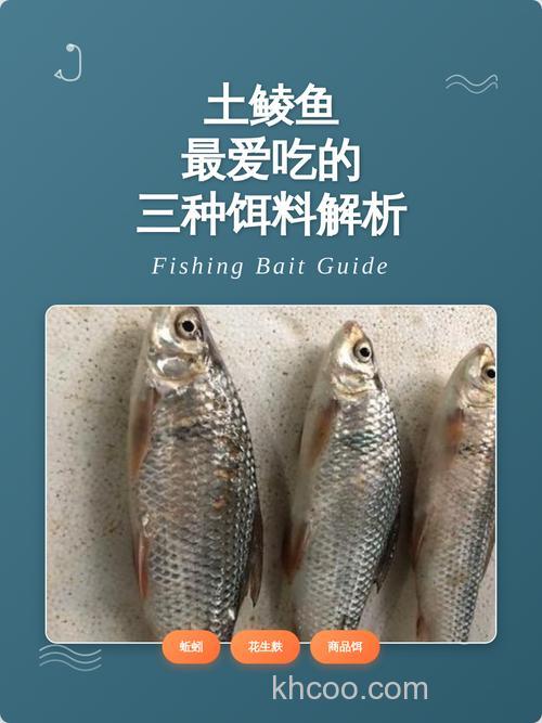 鲮鱼喜欢吃什么饵料 鲮鱼爱吃哪种饵料