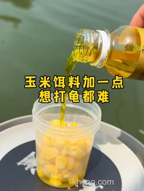 玉米做鱼饵料最佳配方？