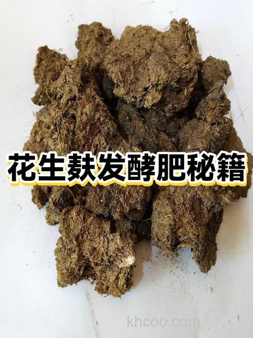 花生麸怎么发酵钓鲢鳙？