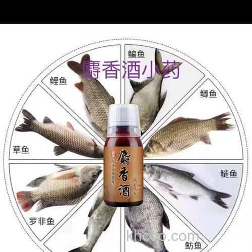 什么曲酒泡米钓鱼打窝好？