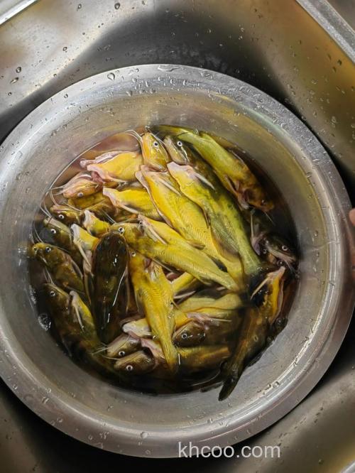 黄颡鱼饵料可以加白酒吗？