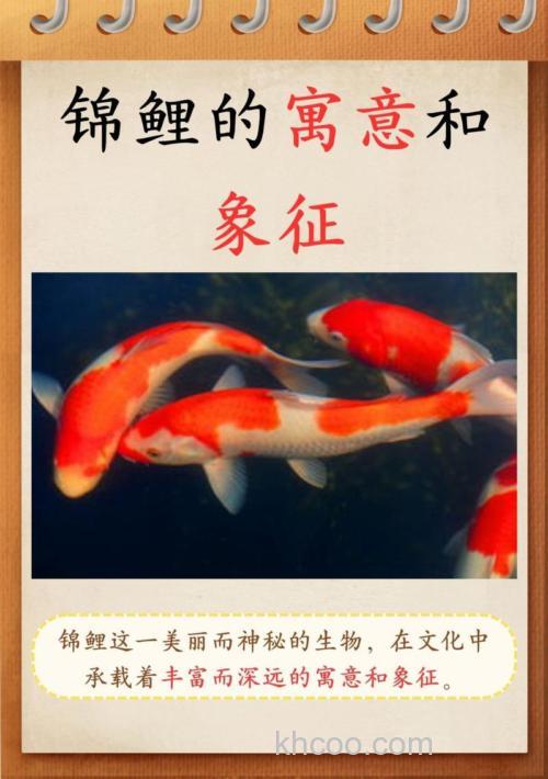 梦到颜色不同的大鲤鱼是什么寓意呢？