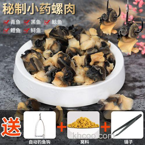 田螺肉加工鱼饵 螺肉鱼饵怎么搭配