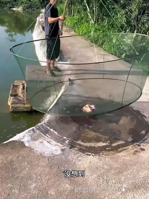 猪肉可以钓鱼吗？