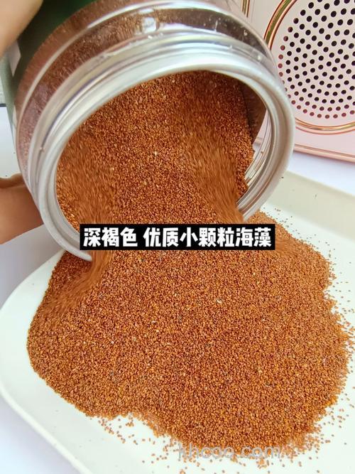 用海藻颗粒怎样开鱼饵？