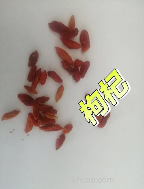 枸杞钓鱼的最佳方法是什么？