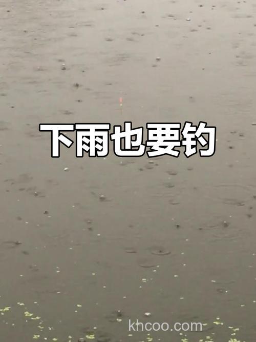 昨天刚下完雨，寻思去临近水池里钓鲫鱼，小弟是个菜鸟，今天刚用的酒泡好米，想明天用蚯蚓去钓，请大师们帮