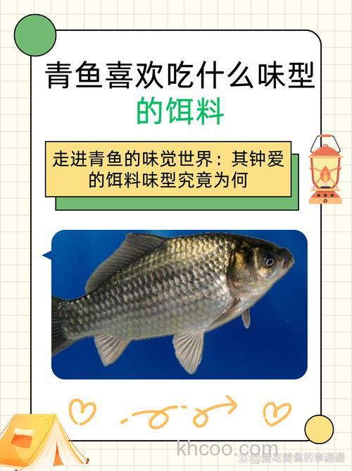 青鱼喜欢酒味饵料吗？