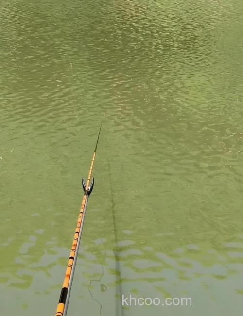 谷雨前几天什么鱼饵钓鲤鱼好？