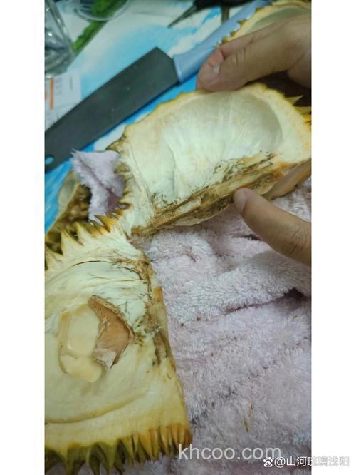 榴莲芯是什么？