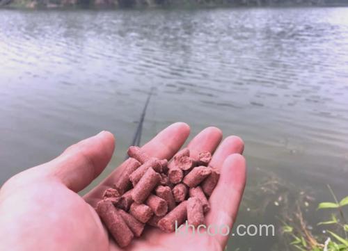 3月钓鲫鱼用什么打窝好