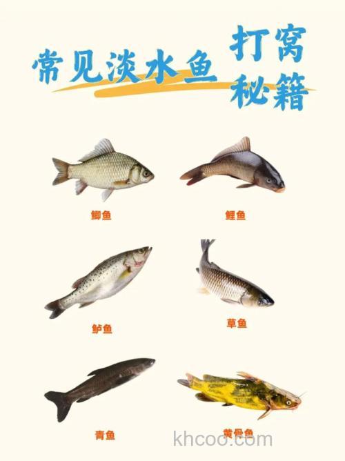 钓不同的鱼是不是窝子就不一样，那么钓一般的鲫鱼，鲤鱼，花鲢，白条，各子用什么窝子？