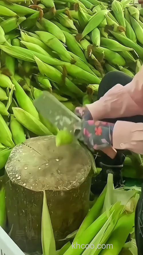 大头鱼吃玉米粒吗？