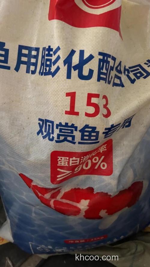 鲤鱼喜欢什么味的饲料？