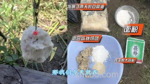 自己做鲢鳙饵要放臭豆腐吗？是不是很难闻啊？