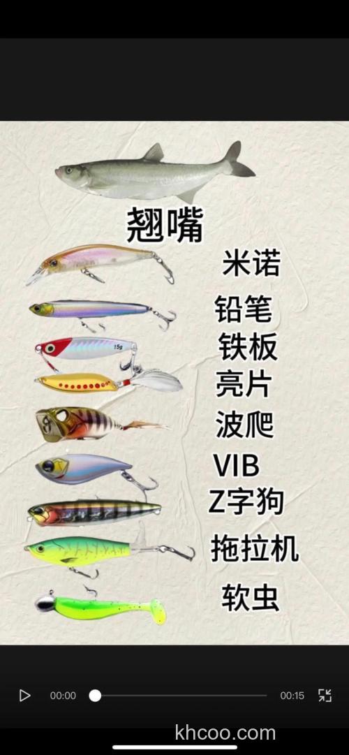 是不钓鱼，用什么饵？