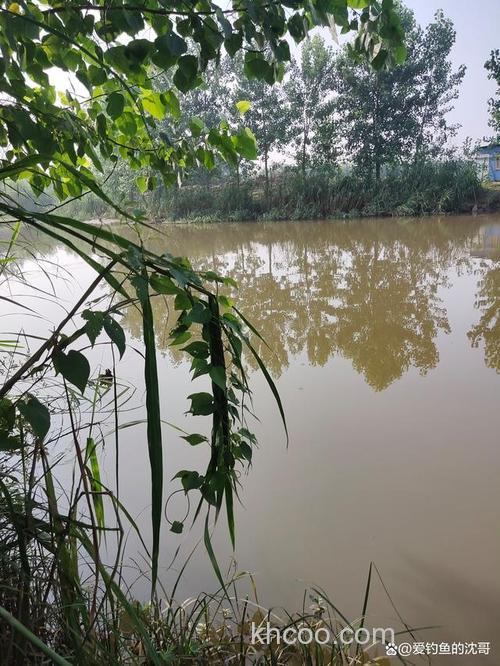 梅雨季节怎么钓鱼