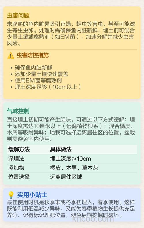 鱼内脏怎么做肥料