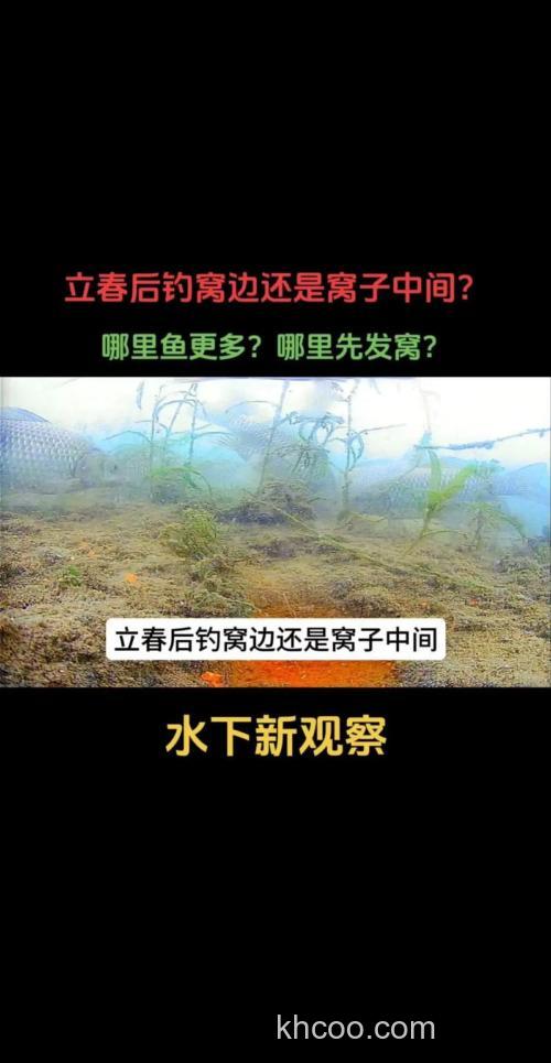 钓窝子正中还是前后？