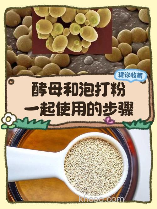 商品饵料加入酵母粉会发酵吗？