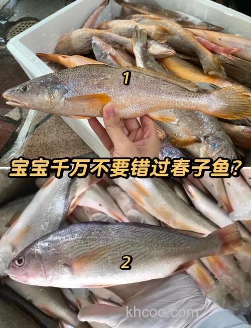 北方9月份的鱼在底部吗？