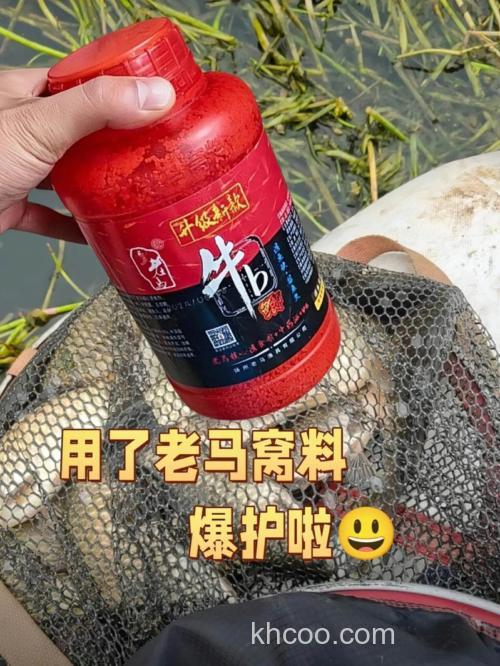 钓野生鲤鱼用什么打窝 钓鲤鱼鱼食