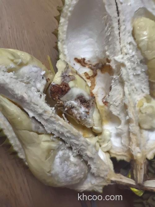 榴莲上有好多黑褐色的类似蟑螂的虫子是什么？怎么消灭？