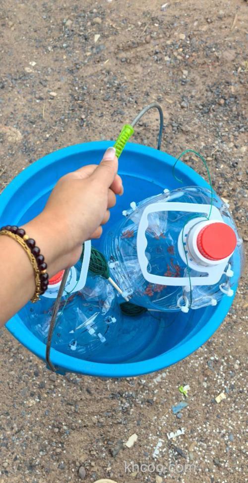 草鱼自动打窝 勺怎么做？