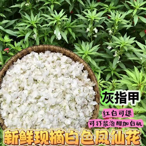 凤仙花怎制作成药酒