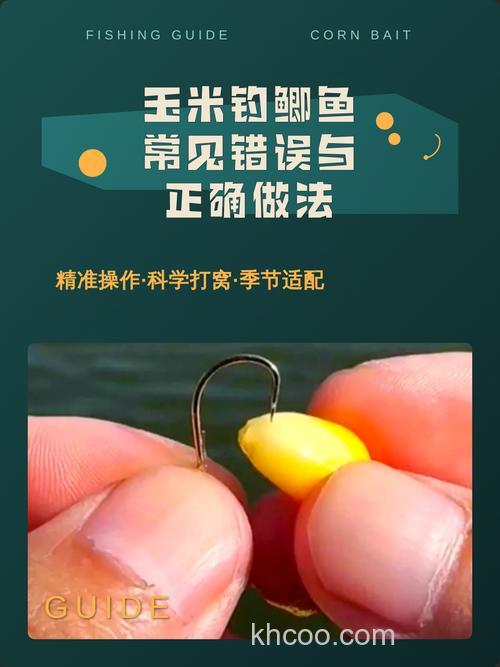 鲫鱼吃玉米吗？