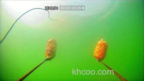 蚕豆钓鲤鱼最佳配方？