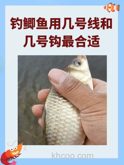 野钓鲫鱼几月份最好钓，几月份最难钓