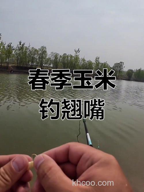 春季玉米钓翘嘴方法？