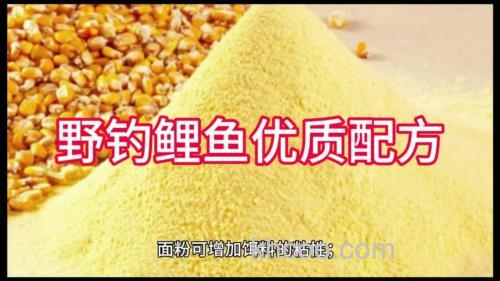 玉米粉饵料秘方？