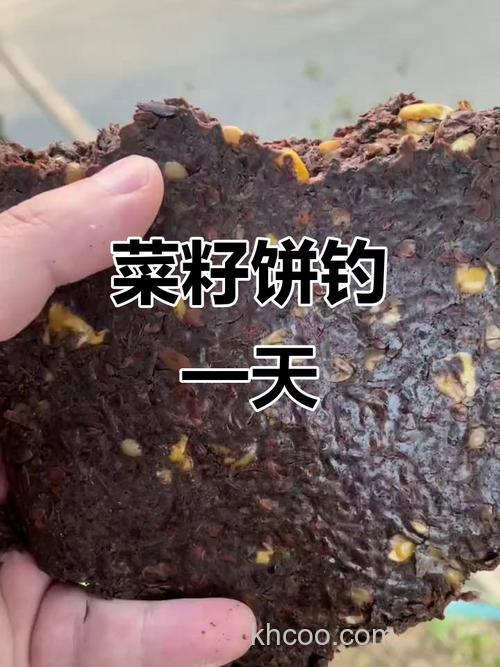 发酵变臭的菜籽饼能做钓鱼打窝料吗