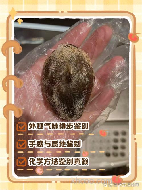 夏季用酵香好还是麝香好？