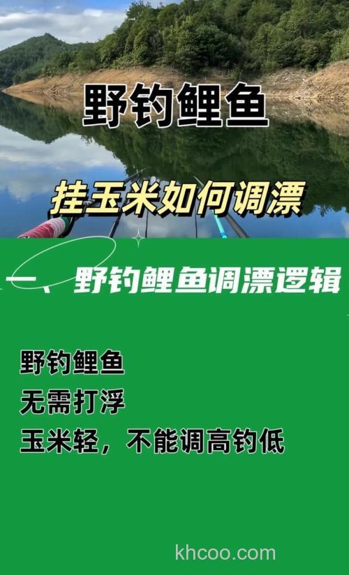 鲤鱼挂玉米调漂调几钓几？