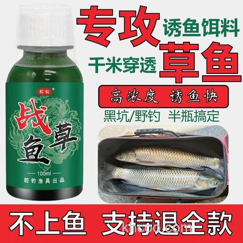 秋天钓草鱼用什么小药？