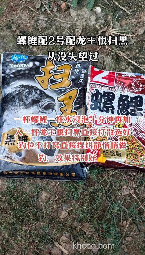 钓鲤鱼用什么样的鱼饵比较好？