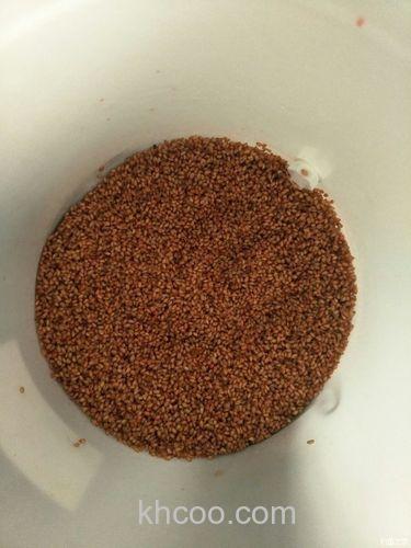 煮熟的麦子能用白酒泡过打窝钓鱼吗？