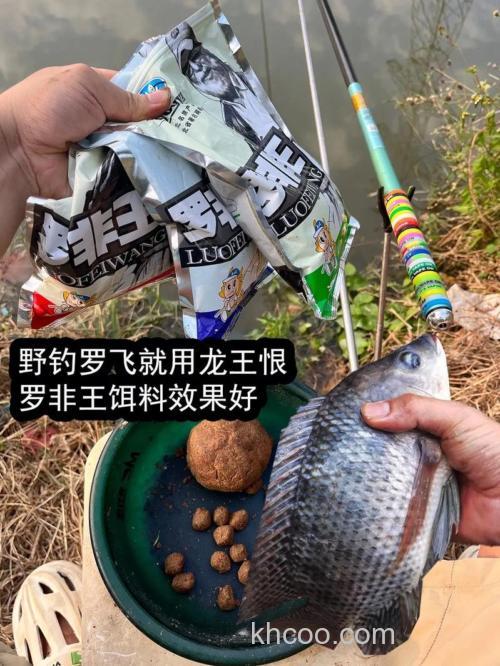 龙王恨罗非王藻香怎么使用？